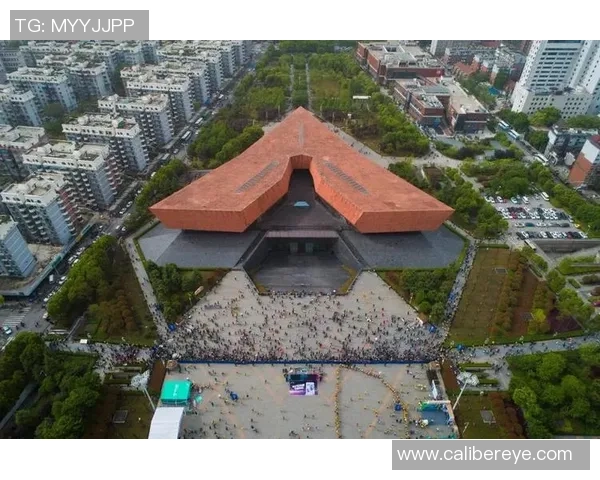 武汉乒乓球队的节奏与风采探秘：从训练到比赛的全景展现